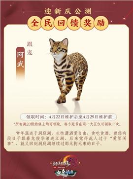 天龙八部私服  开  费用